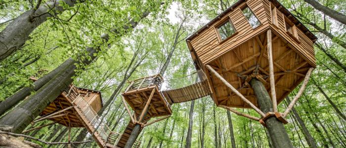 Treehouse Hotel: Unique Vacation
