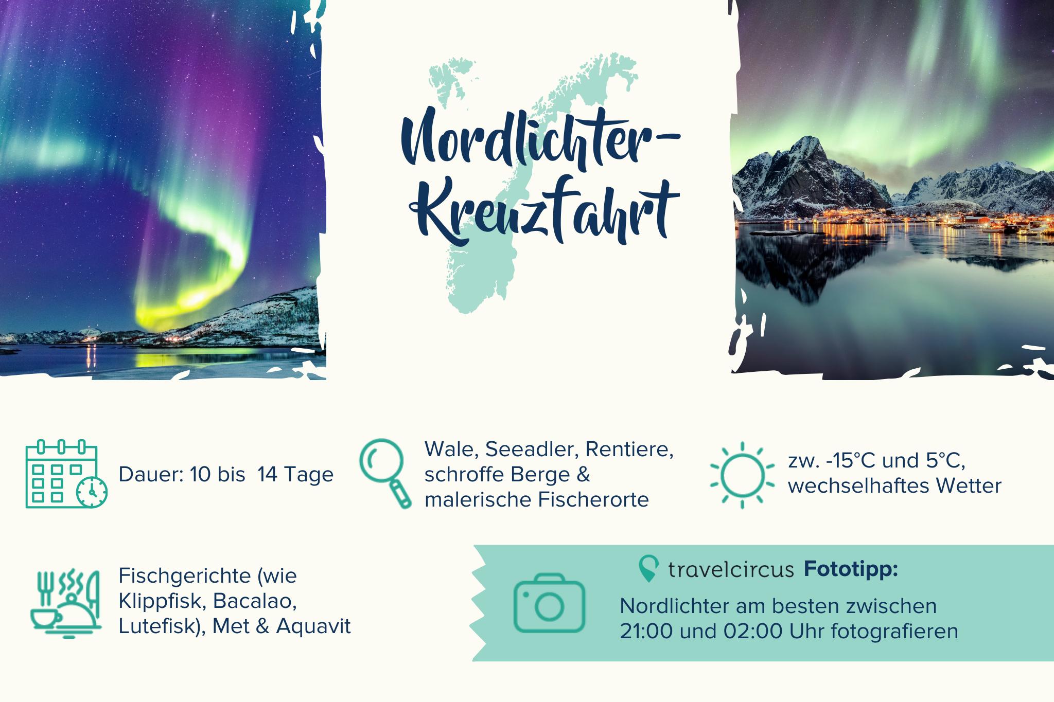 Northern Lights Cruise