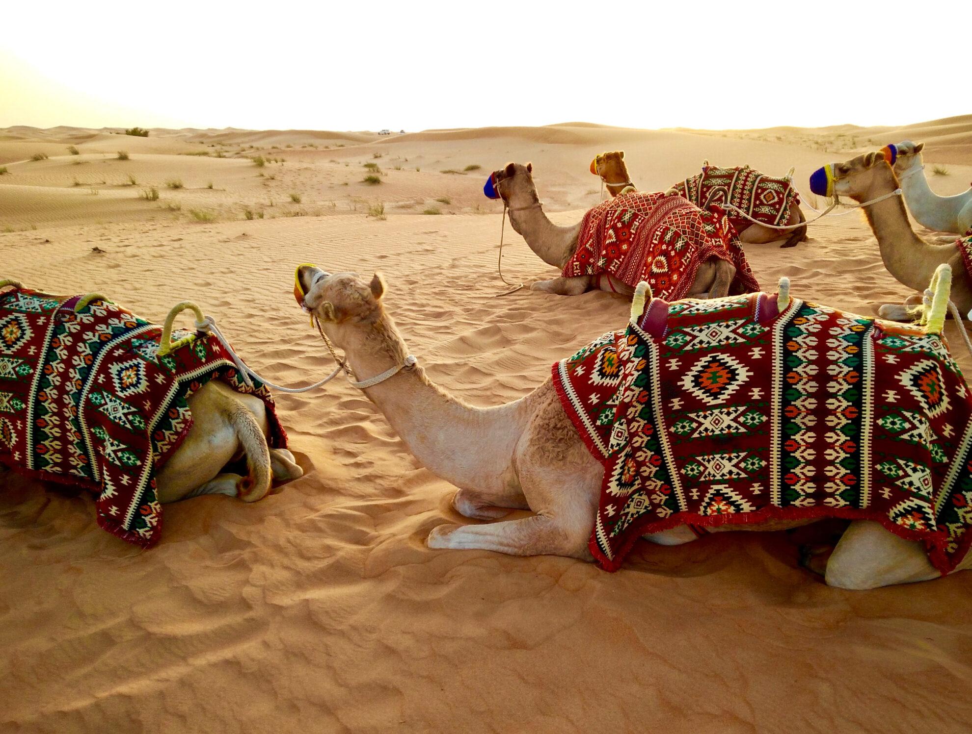 Rank 7: Dubai