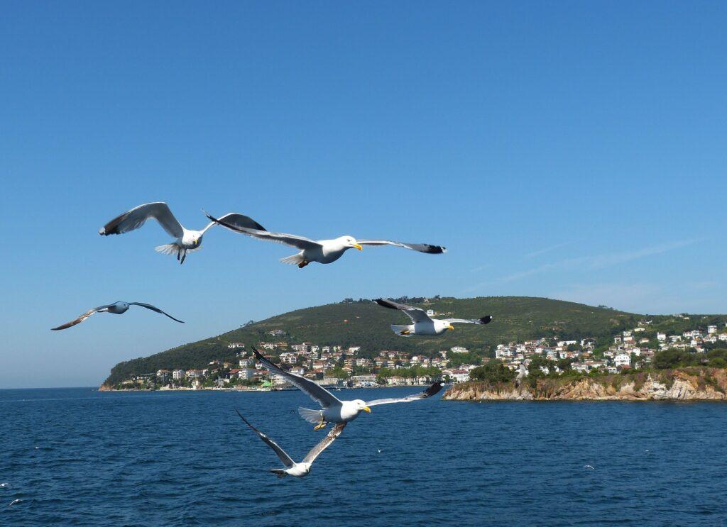 Attractions Istanbul. Prince Islands.