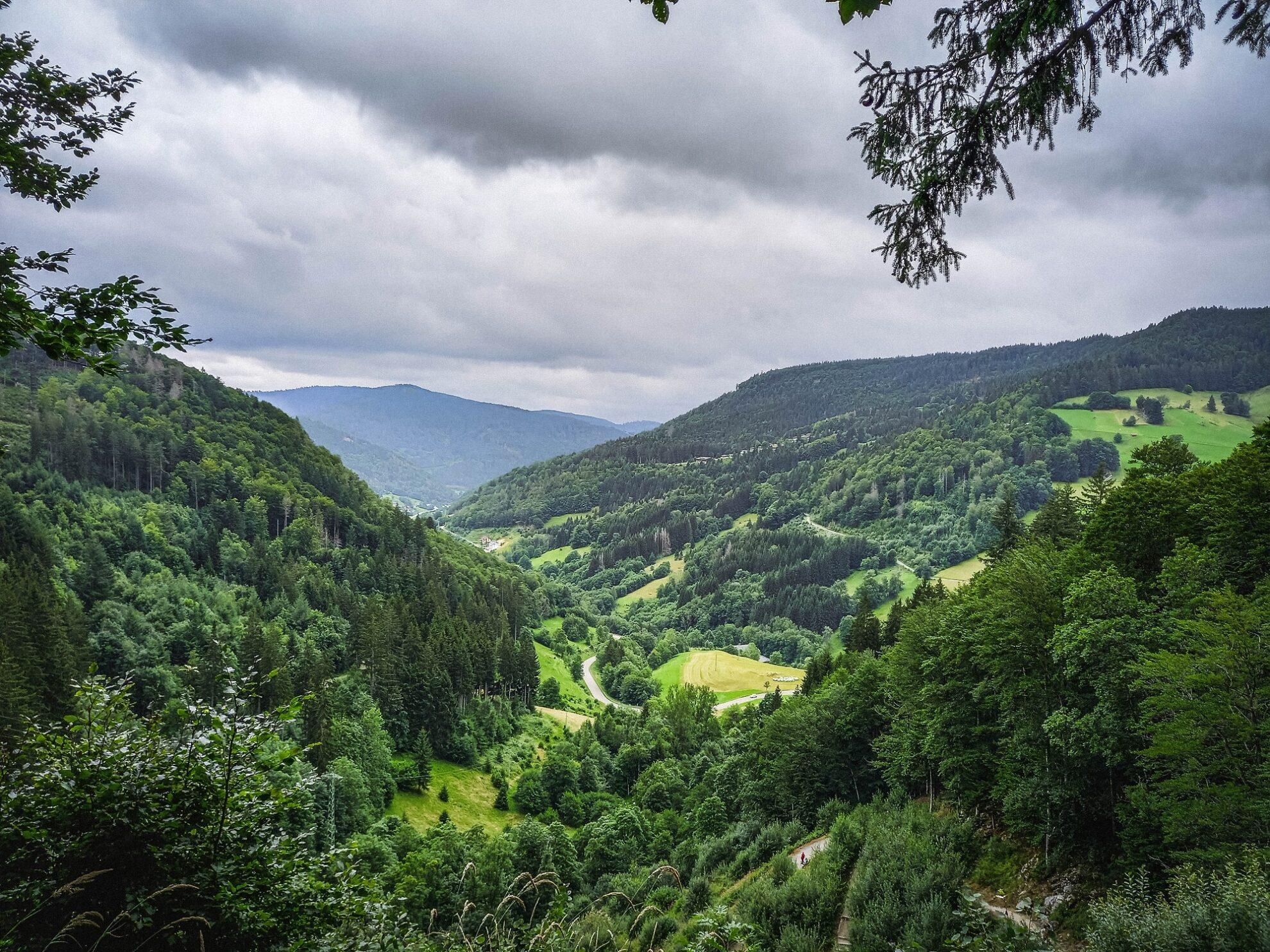 Lugar 9: Schluchtensteig Schwarzwald