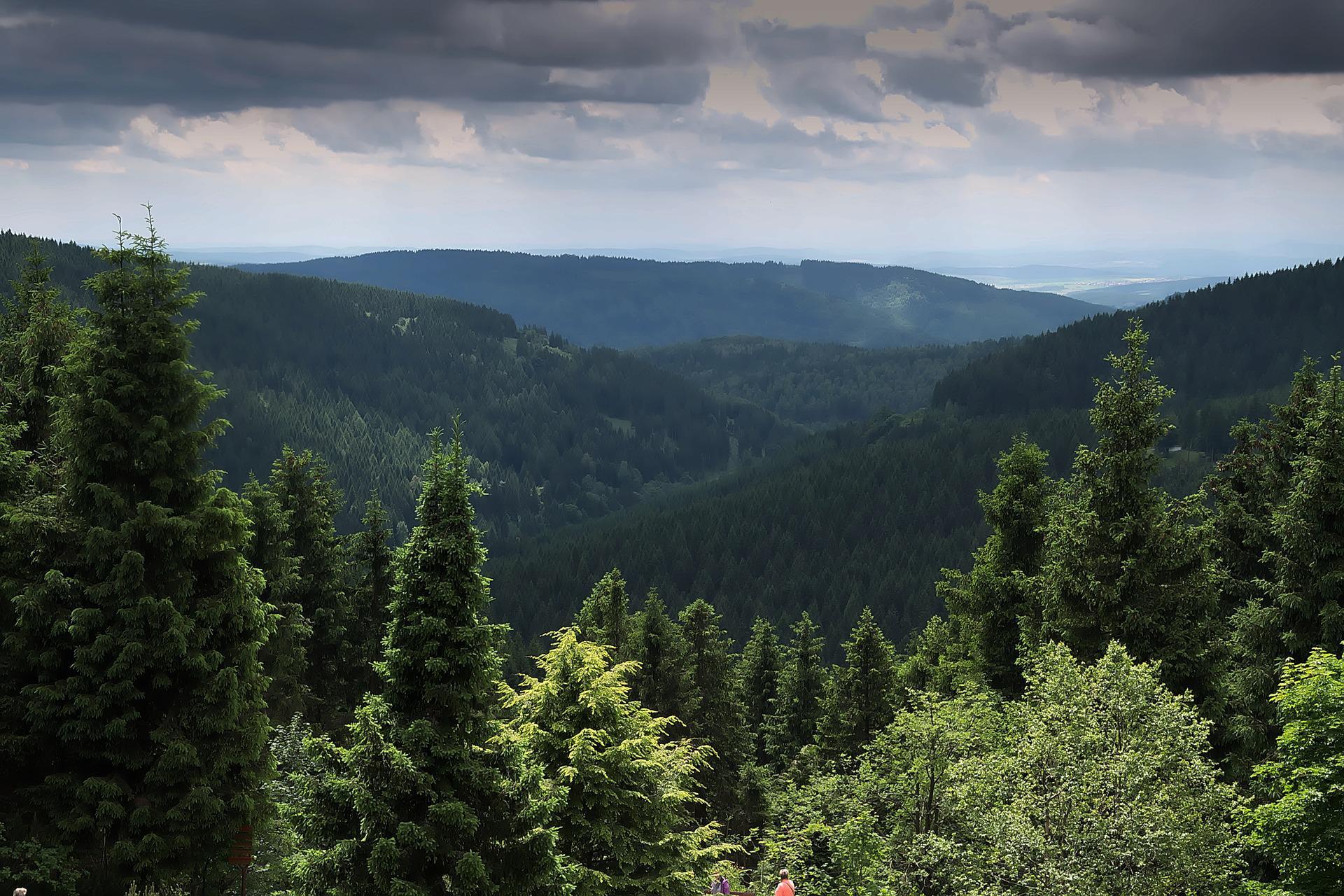 Lugar 4: Rennsteig
