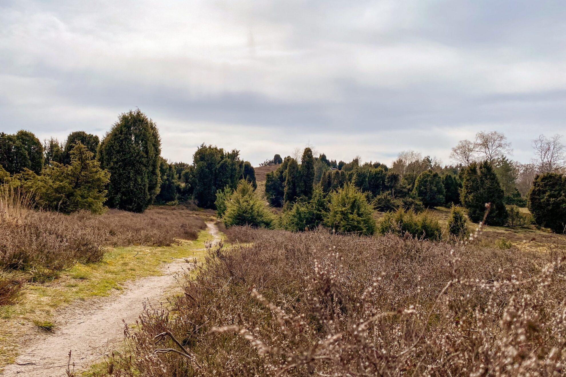 Lugar 1: Heidschnuckenweg