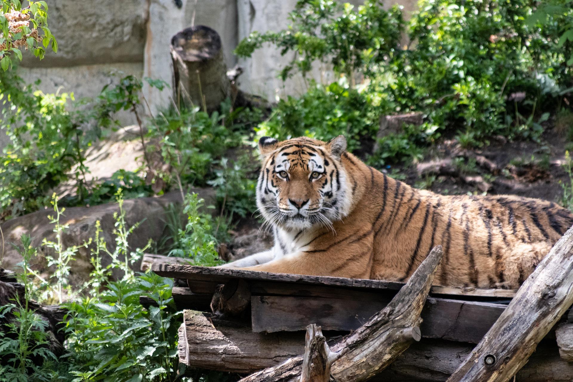 zoo-leipzig