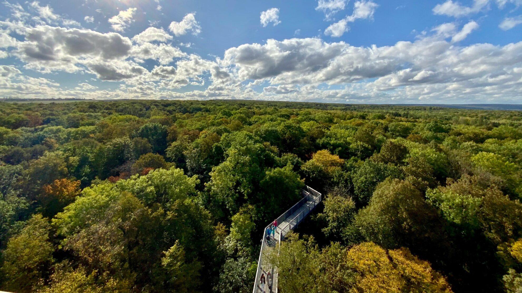 Los 11 parques nacionales más bellos de Alemania