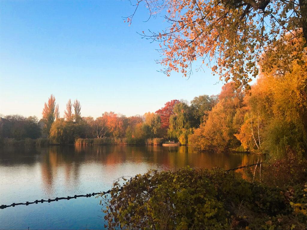 Indian Summer - The 11 Most Impressive Autumn Forests in the World